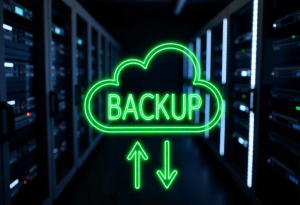 Il Backup Remoto: Un Must per le PMI di Cremona